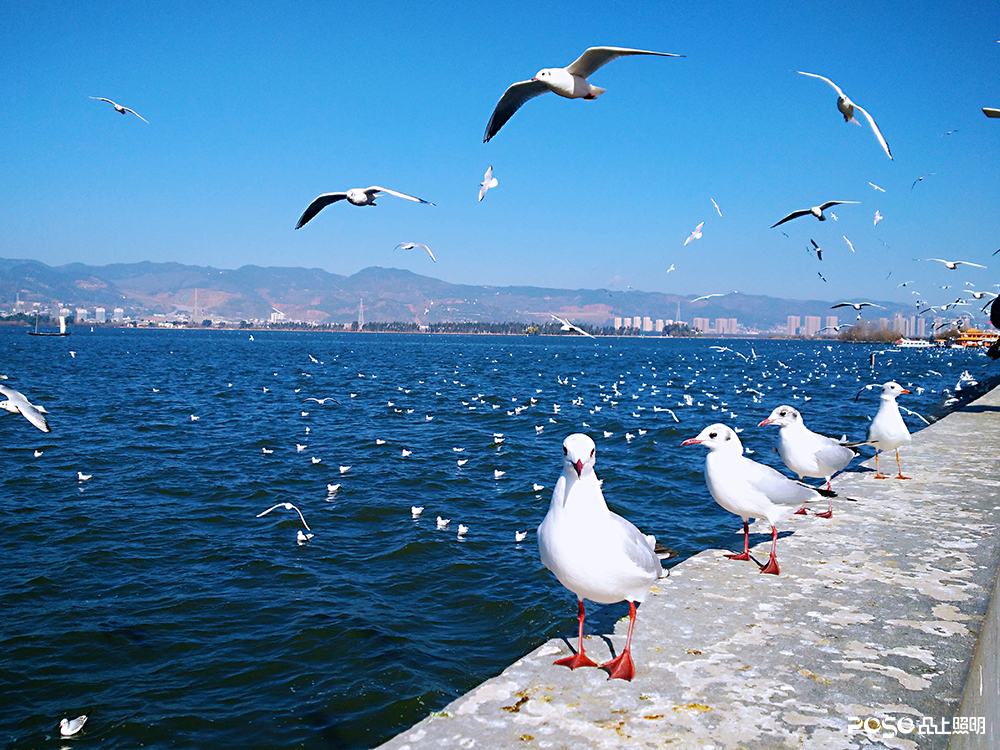 CgoKCF0VZ2z8PqeBAA0X5zx_B-c504 CgoKCF0VZ2z8PqeBAA0X5zx_B-c504